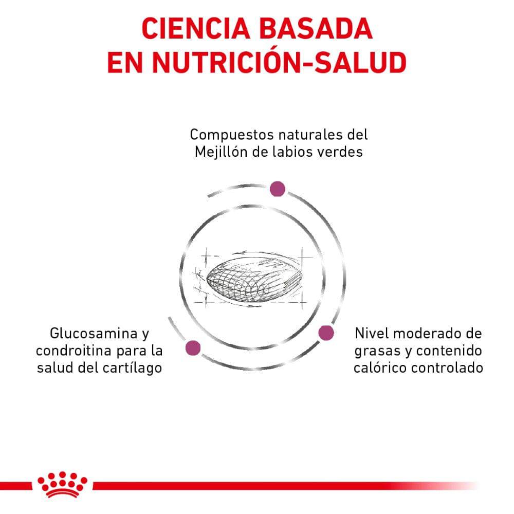 Royal Canin Vet Advanced Mobility Support 12 kg - AniMALL