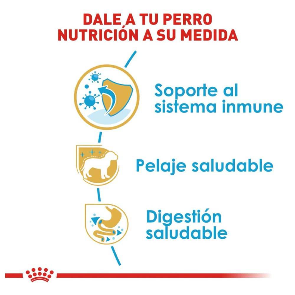 Royal Canin Alimento Seco para Perro Yorkshire Puppy 1 kg - AniMALL