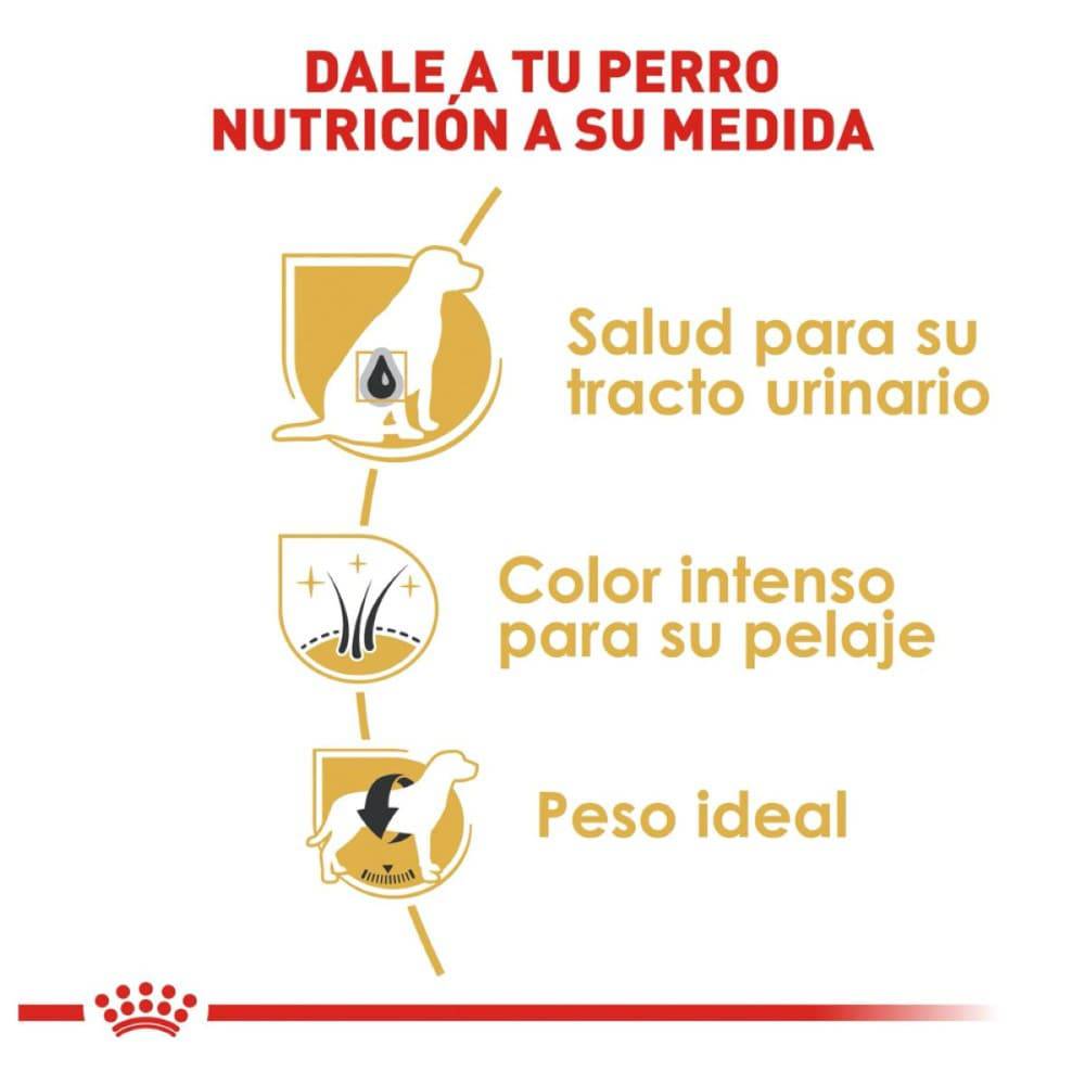 Royal Canin Perro Schnauzer Miniatura Adulto 4.5 kg - AniMALL