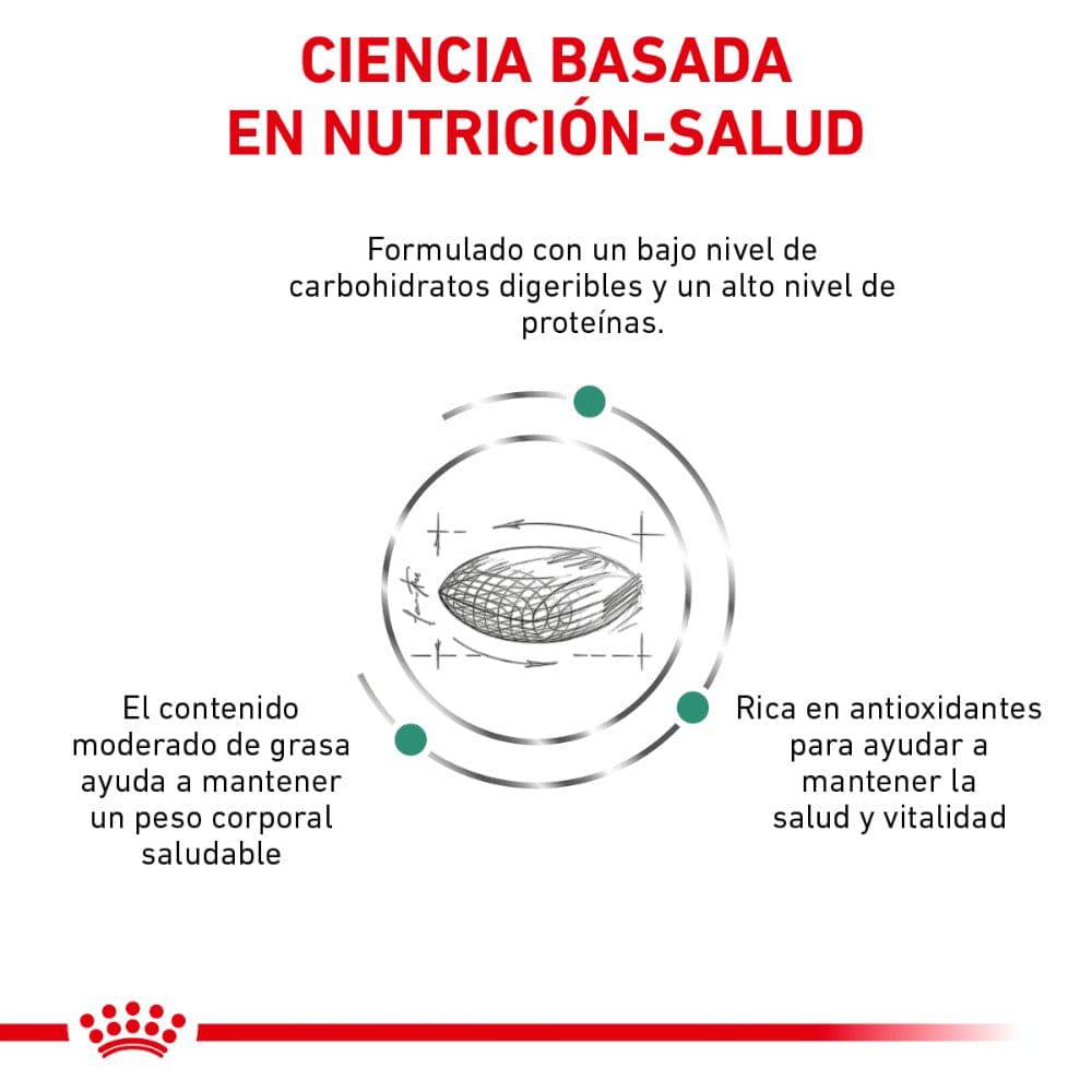 Royal Canin Vet Glycobalance Canine dieta veterinaria para perros