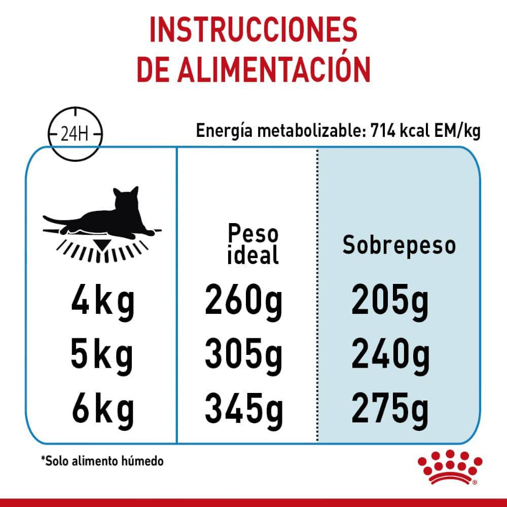 Lata Royal Canin Gato Urinary Care 145 gr - AniMALL