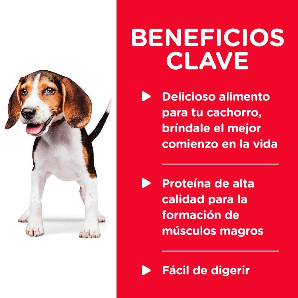 12 Latas Hill's Science Diet Puppy, alimento humedo en lata para perro cachorro sabor pollo 369g - AniMALL
