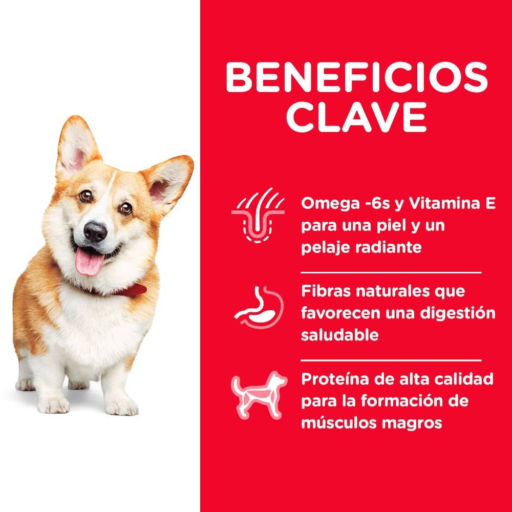 Hill's Science Diet Small Bites alimento seco para perro adulto