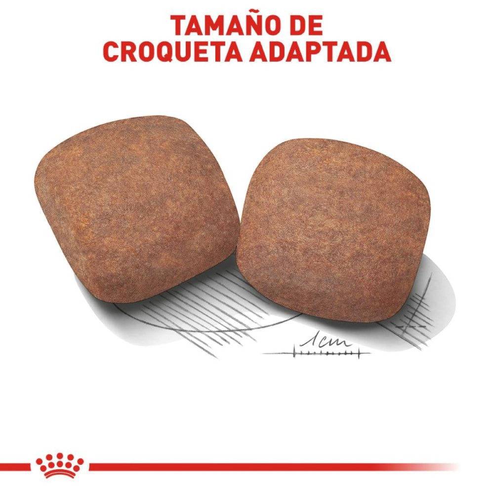 Royal Canin Perro Adulto Giant 13.6 kg - AniMALL