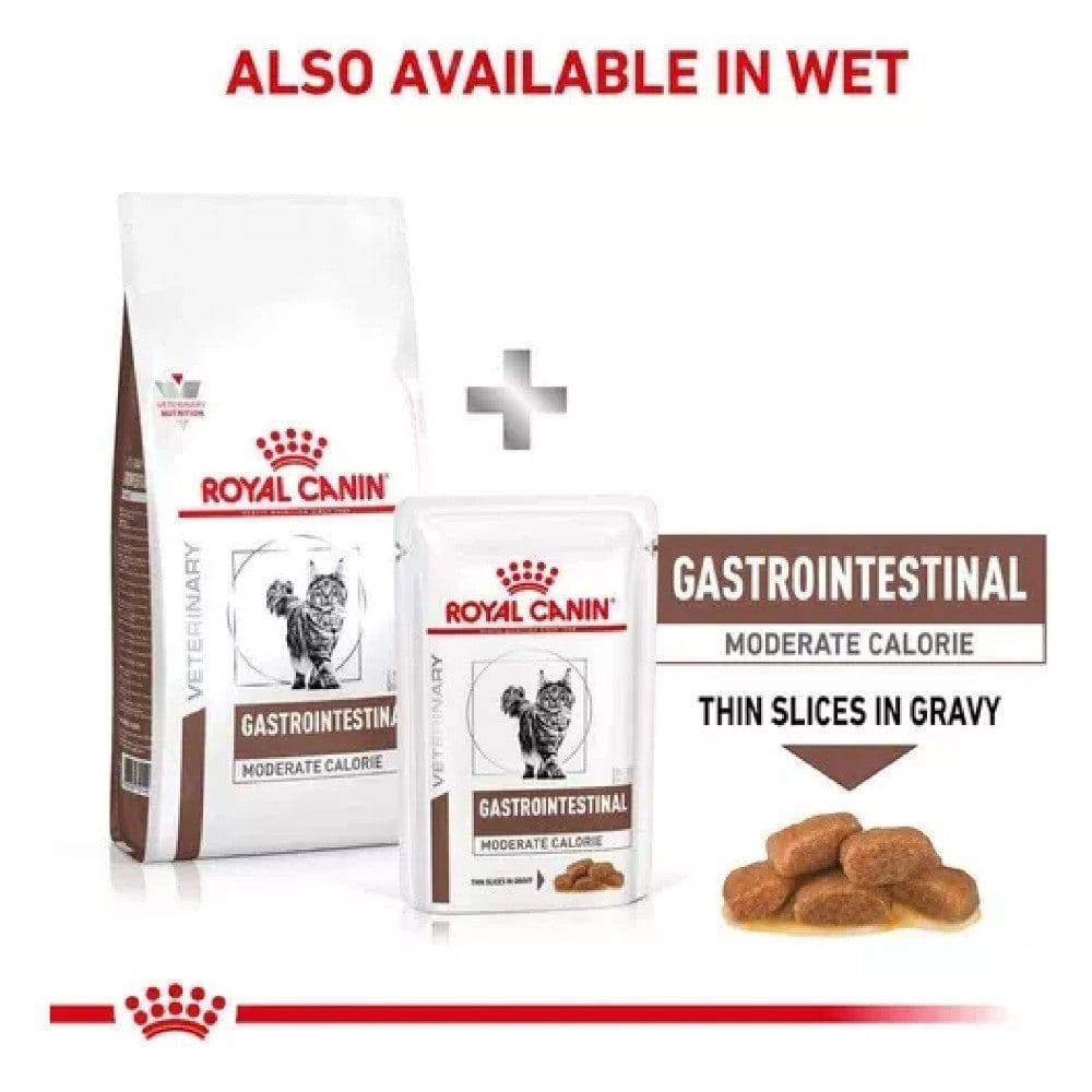 royal canin gastrointestinal gatos