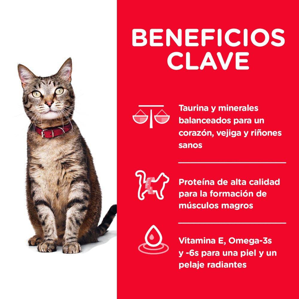 Hill's Science Diet Adult, alimento saludable para gato adulto sabor pollo  7.3Kg - AniMALL