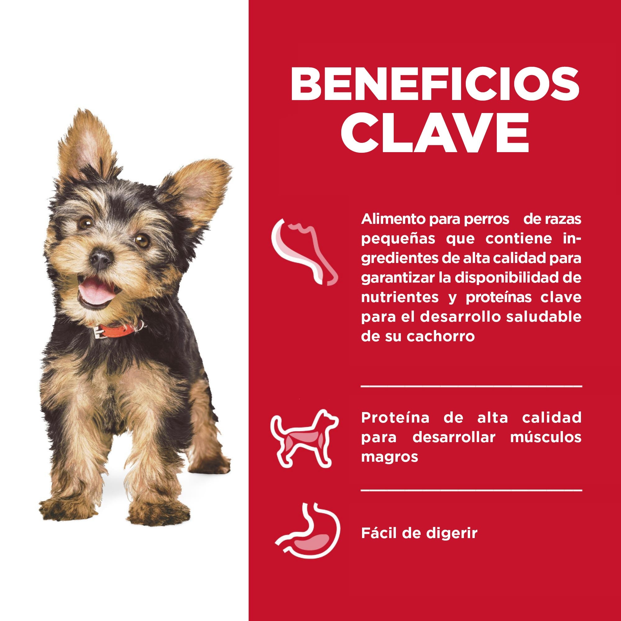 Hill's Science Diet Puppy Small & Mini Alimento Húmedo para Cachorro Raza Pequeña Pollo y Vegetales 99 gr (1 Tray)