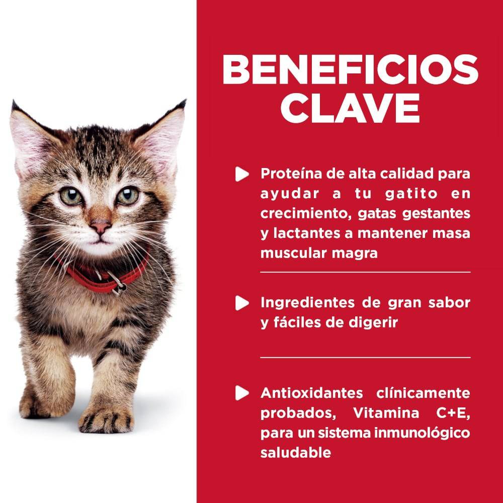 Hill's Science Diet Kitten, alimento saludable húmedo en pouch para gatito, platillo de pollo 79g - AniMALL