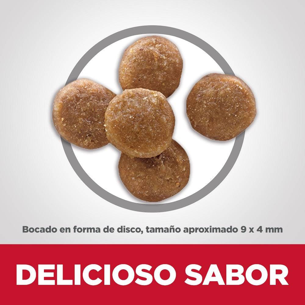 Hill's Science Diet Perfect Digestion, alimento de cuidado digestivo para gato adulto 5.9Kg - AniMALL