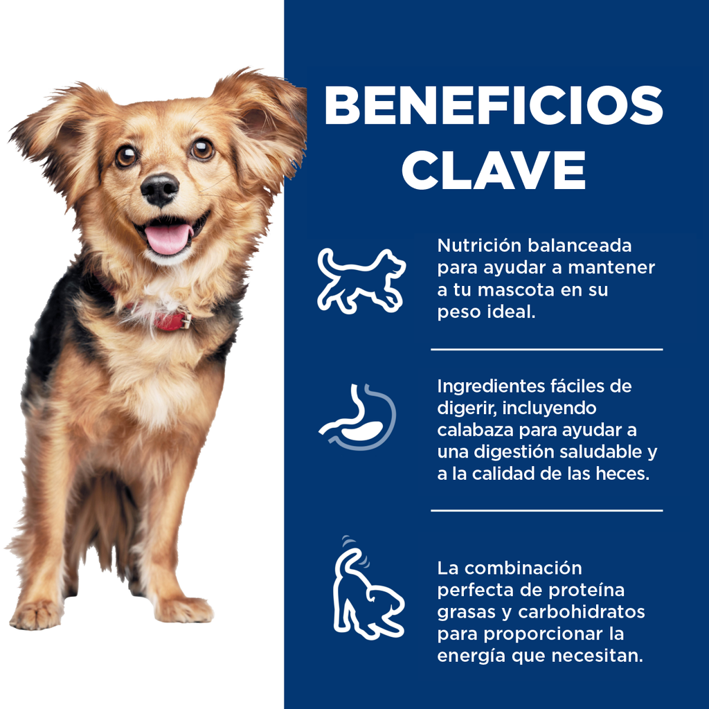 Hill's Science Diet Perfect Digestion Small and Mini, Cuidado digestivo para perros adultos pequeños y mini, 5.4 kg (