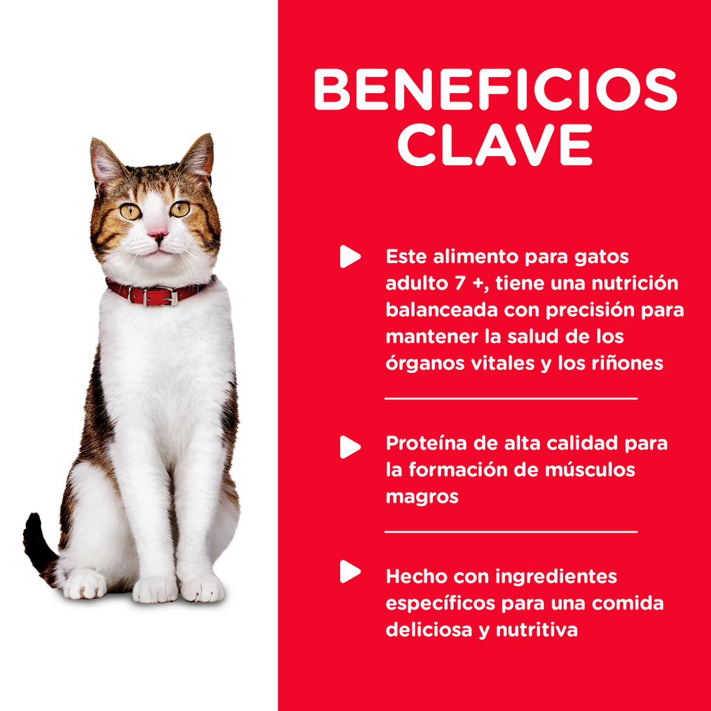 24 latas Hill's Science Diet Gato Senior Alimento Húmedo Gato Senior Sabor Pavo 82g