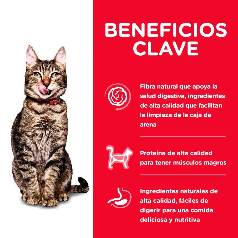 Hill's Science Diet Adult 7+ Indoor, alimento saludable para gato senior de interiores 3.2Kg - AniMALL
