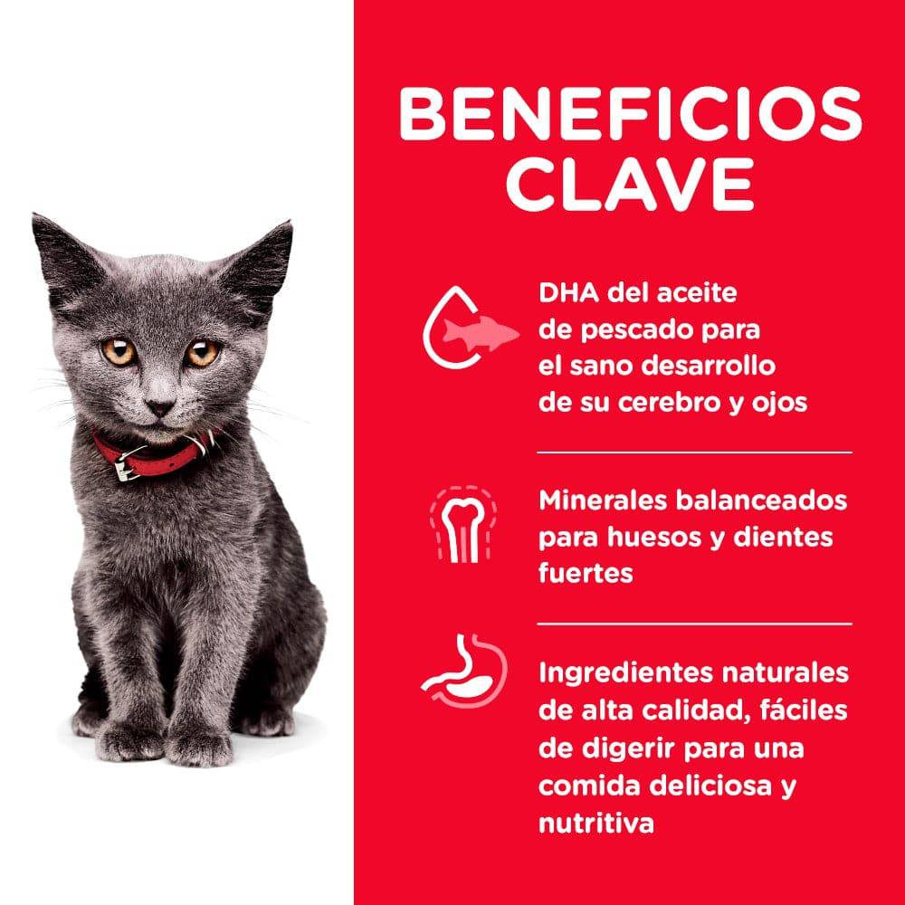 Hill's Science Diet Kitten Indoor, alimento saludable para gatito de interior sabor pollo 3.2Kg - AniMALL