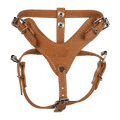 Pechera de Piel Color Cafe Xtreme Talla 1, Fancy Pets - AniMALL