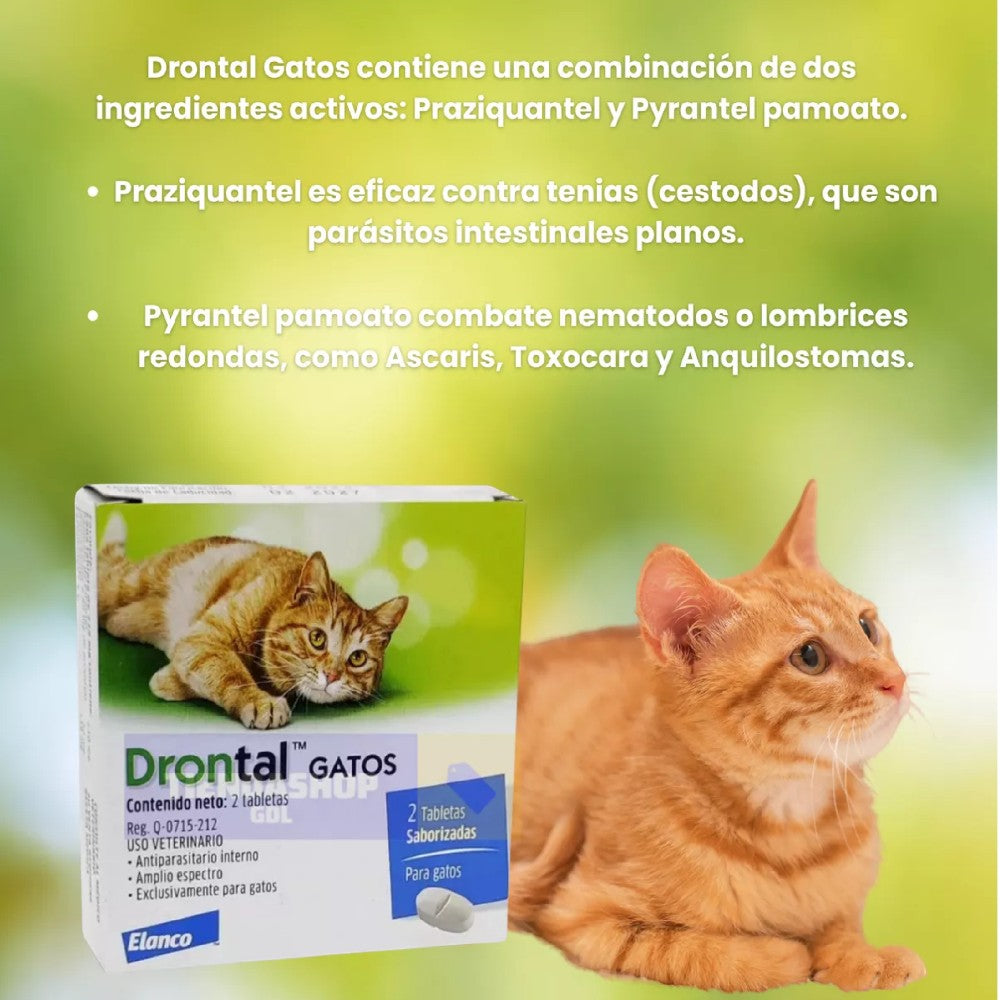 drontal para gatos