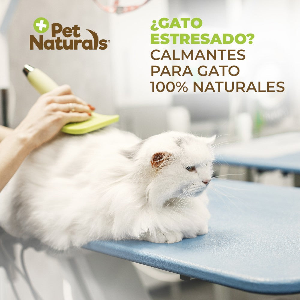 Pet Naturals Calmantes Naturales para Gatos, Sin Sedantes. Forma y Sabor a Premio 21 pz