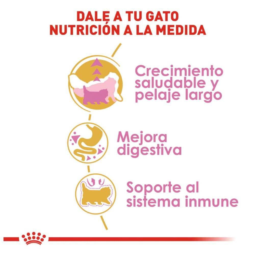 Royal Canin Persian Kitten 1.3 kg - AniMALL