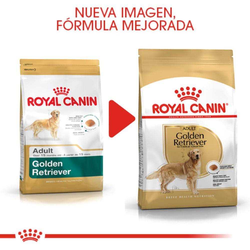 Royal Canin Golden Retriever