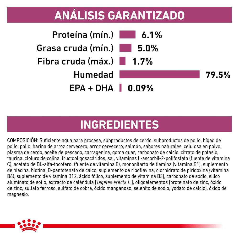 24 Latas Royal Canin Vet Renal Support E Feline 145 gr - AniMALL