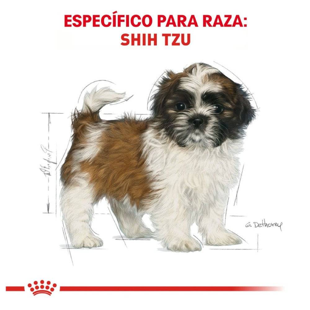Royal Canin Perro Cachorro Shih Tzu 1.1 Kg - AniMALL