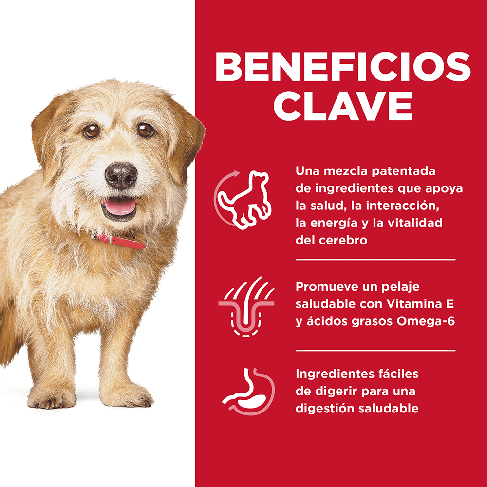 Hill's Science Diet Small & Mini Senior Vitality nutricion perro senior