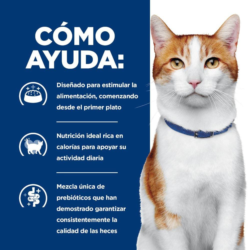 24 Latas Hill's Prescription Diet ONC Care, Nutrición y Apoyo de Recuperación, para Gato, 82 g - AniMALL