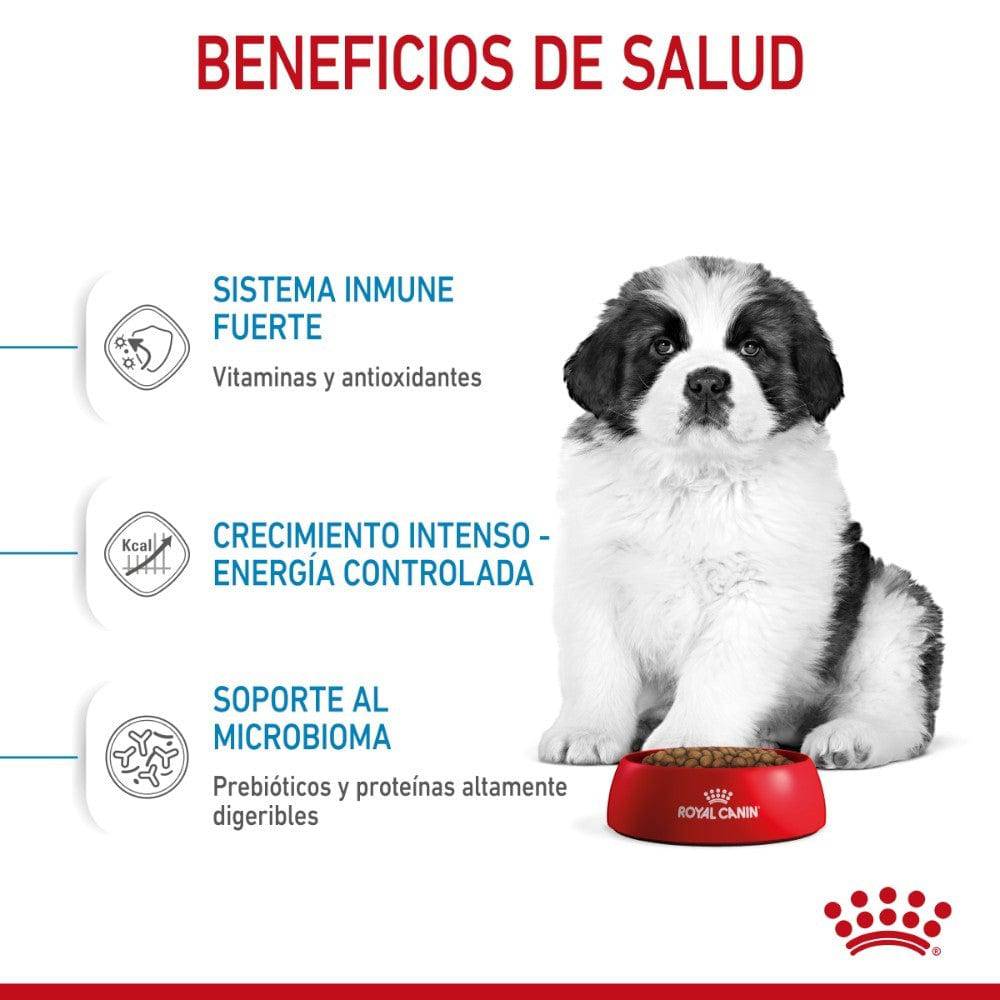 Royal Canin Alimento para Cachorro Giant Puppy 13.6 kg - AniMALL