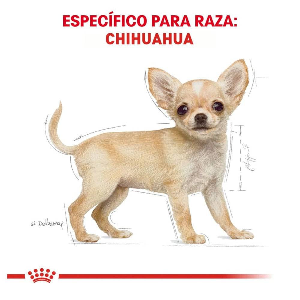 Comida para perros chihuahua