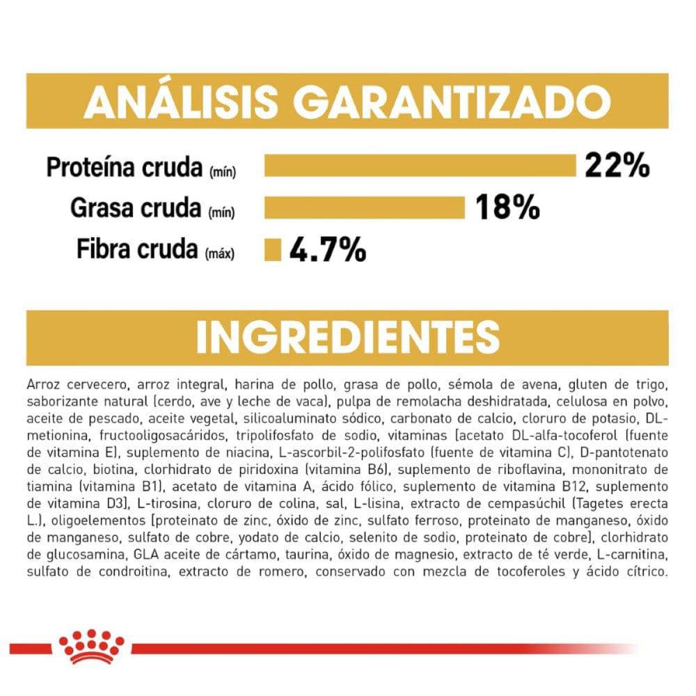 Royal Canin Shih Tzu Adulto 1.13 kg - AniMALL