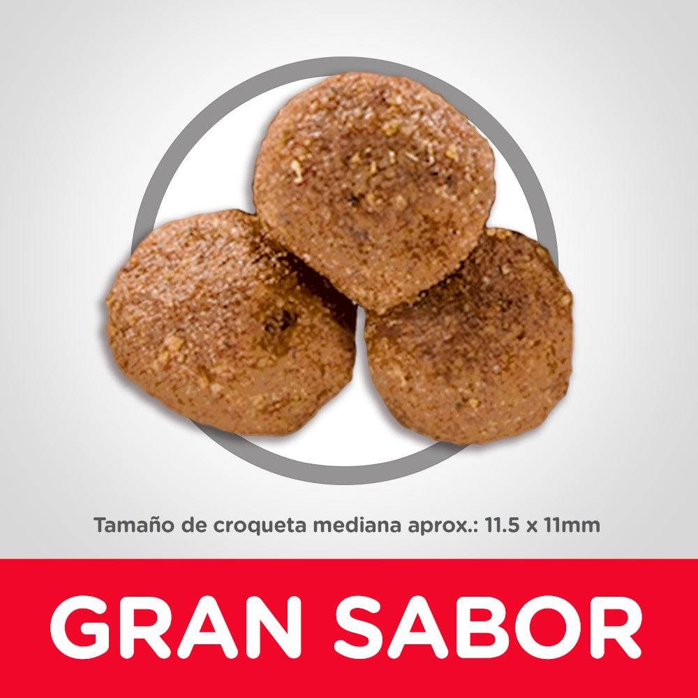 Hill's Science Diet Adult, alimento saludable perro adulto receta de cordero y arroz integral 15Kg - AniMALL
