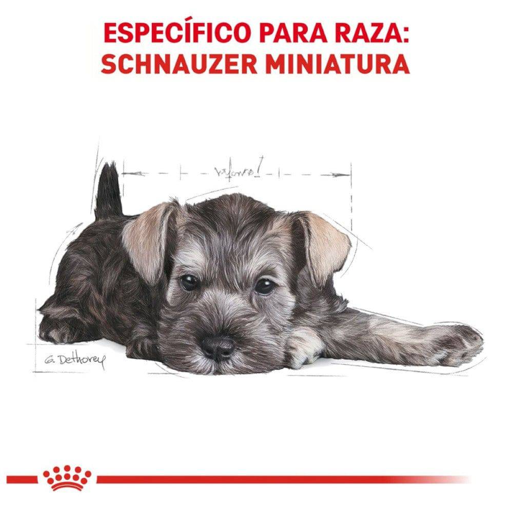 Royal Canin Perro Cachorro Mini Schnauzer 1.1 Kg - AniMALL
