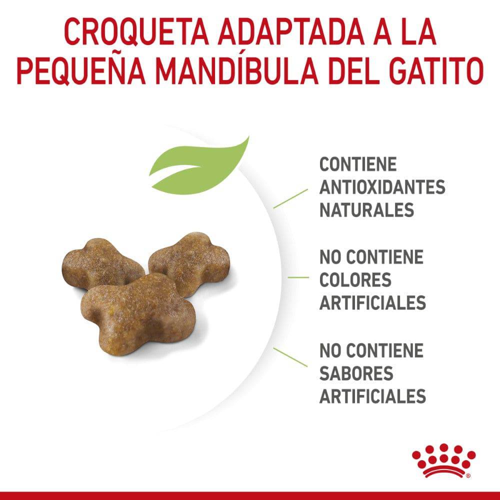 Royal Canin Gato Kitten 3.1 kg - AniMALL
