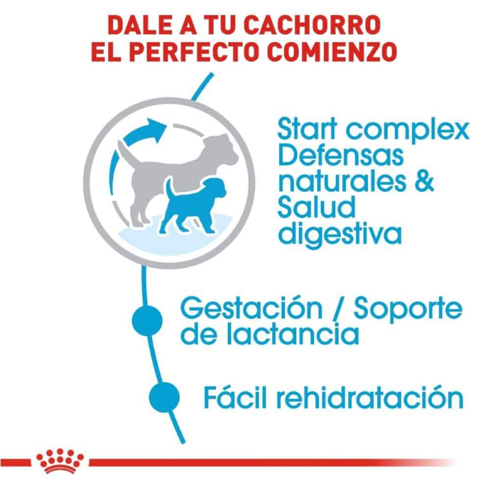 Royal Canin Alimento Seco Perro Starter Mother and Baby Dog 6.3 kg - AniMALL
