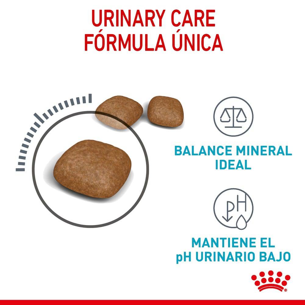 Royal Canin Feline Urinary Care 6.36 Kg - AniMALL