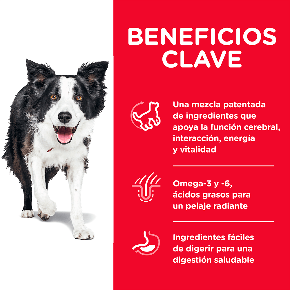 Hill's Science Diet Senior Vitality, alimento saludable para perro senior sabor pollo  5.7Kg - AniMALL