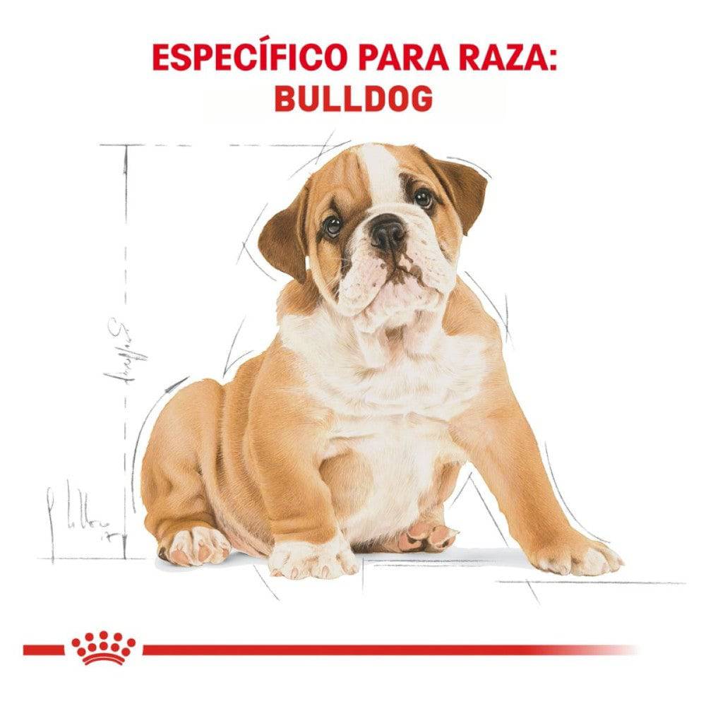 Royal Canin Alimento para Cachorro Bulldog 13.6 kg - AniMALL