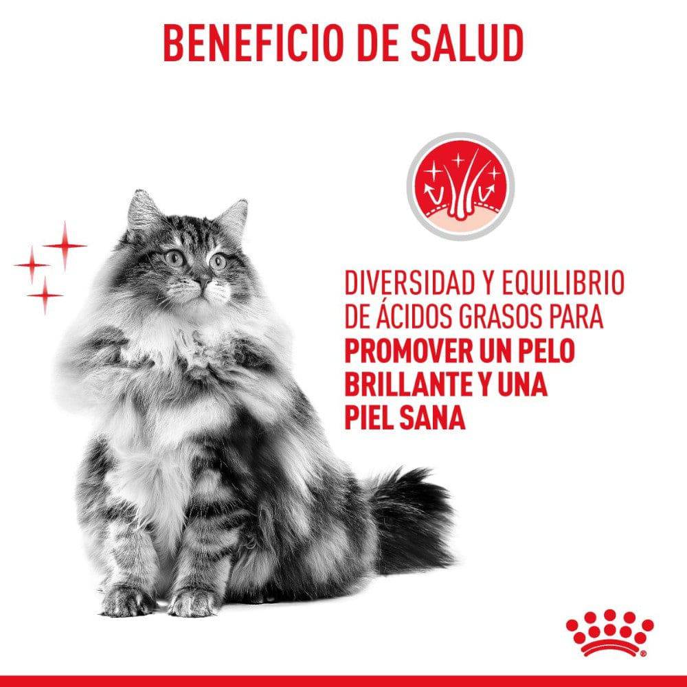 Lata Royal Canin Gato Hair and Skin Care 85 gr - AniMALL