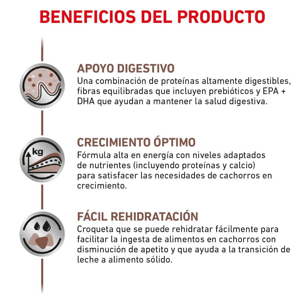 Royal Canin Vet Perro Cachorro Gastrointestinal 4 kg - AniMALL