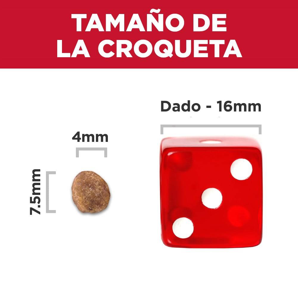 Comida para perros Hills
