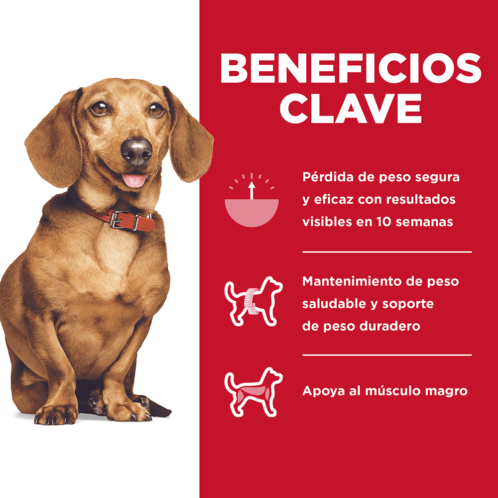 Hill's Science Diet Small & Mini Perfect Weight, alimento control de peso perro adulto raza pequeña 5.7Kg - AniMALL