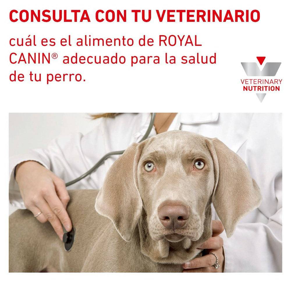 12 Latas Royal Canin Vet Hydrolyzed Protein 385 gr - AniMALL