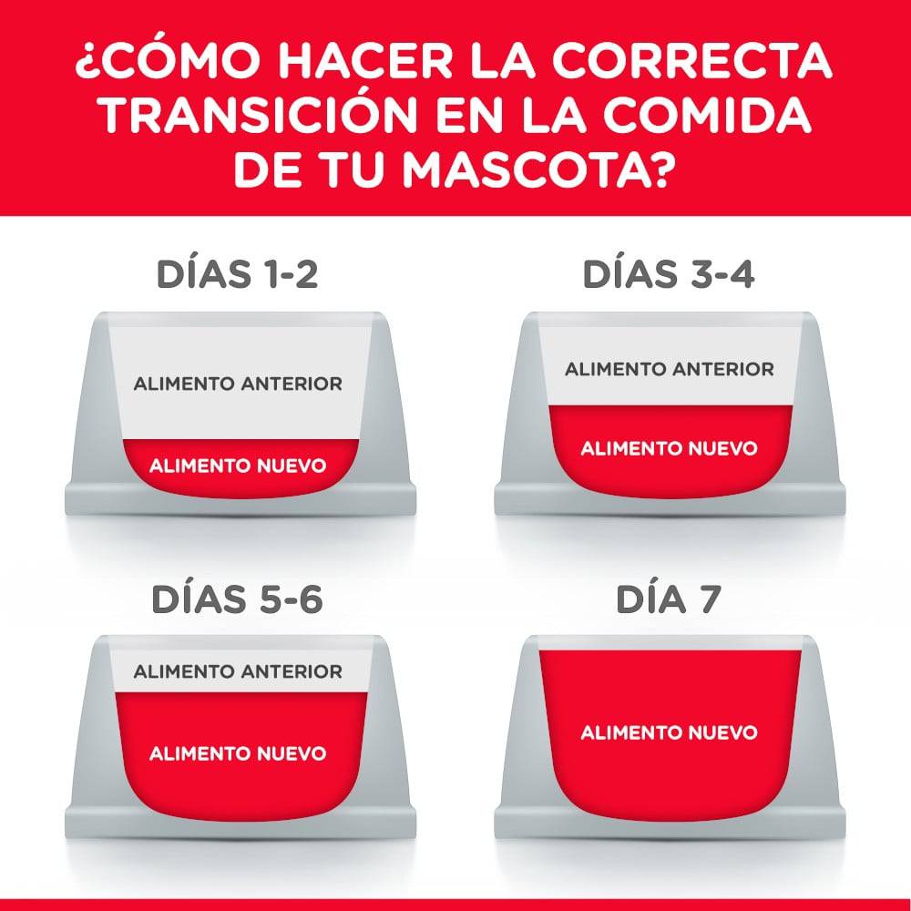 24 Latas Hill's Science Diet Kitten Healthy Cuisine, Alimento saludable húmedo en lata para gatito 79g - AniMALL