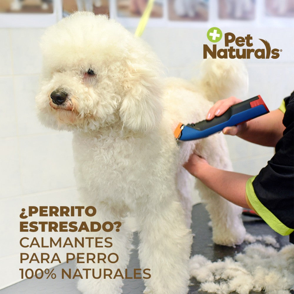 Pet Naturals Calmantes para Perro Raza Chica, Sin Sedantes. Sabor a Premio 21 pz