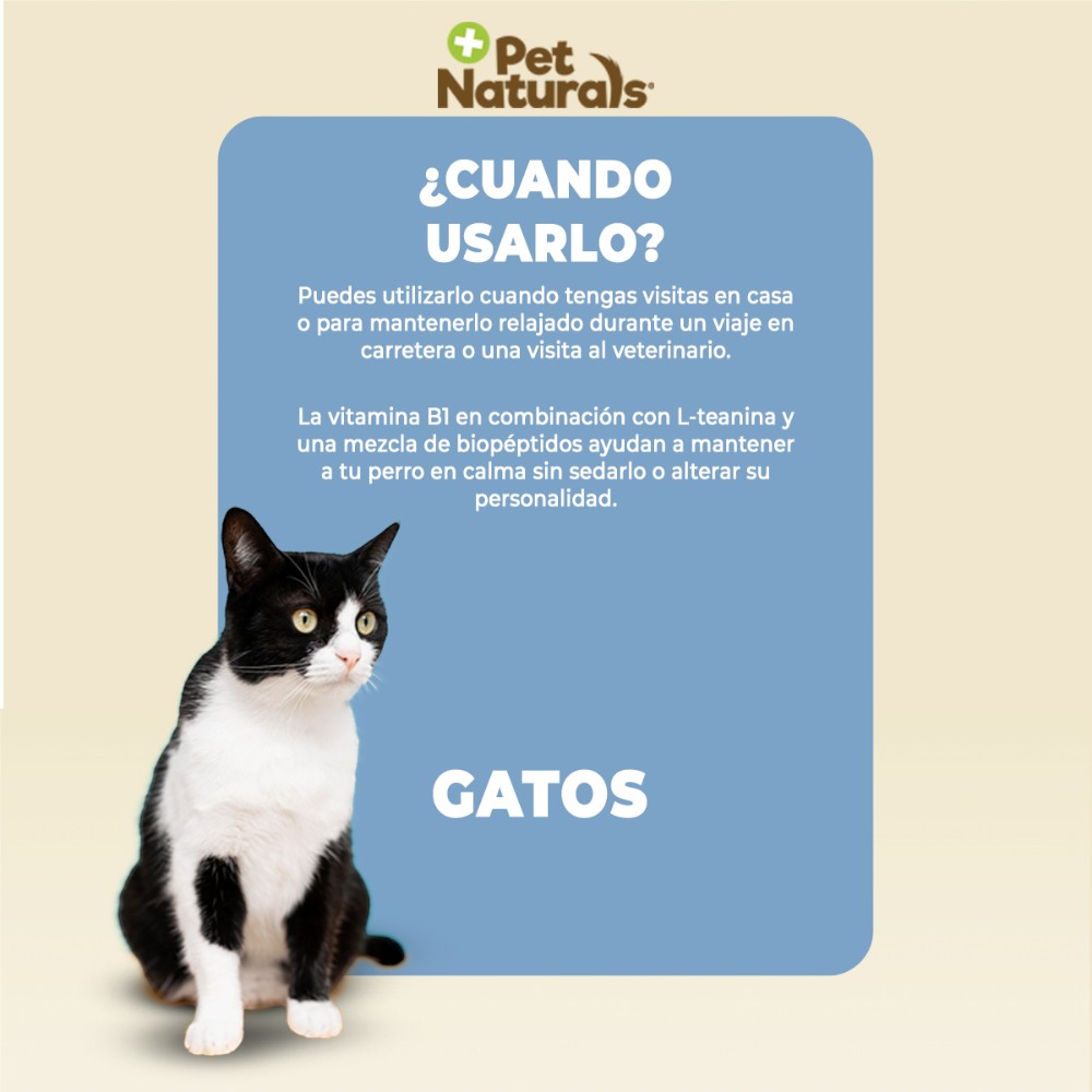 Pet Naturals Calmantes Naturales para Gatos, Sin Sedantes. Forma y Sabor a Premio 21 pz
