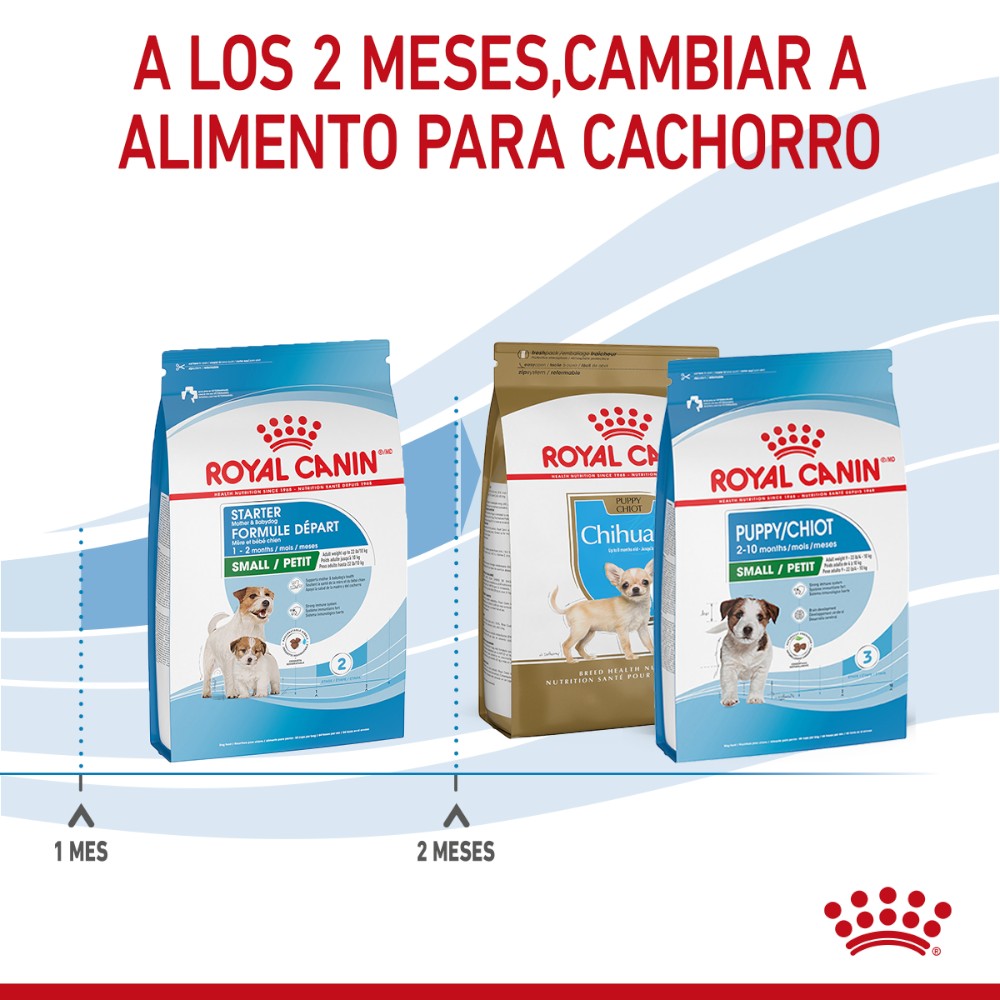 Análisis garantizado de Royal Canin Small Starter Mother and Babydog