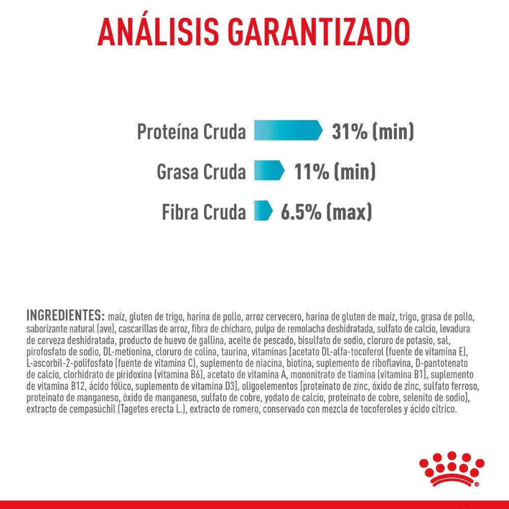 Royal Canin Feline Urinary Care 6.36 Kg - AniMALL