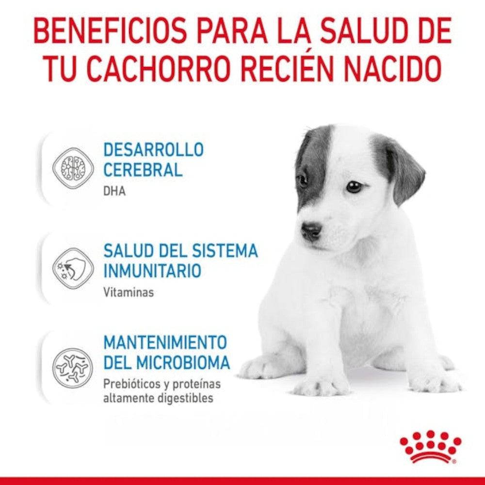 Royal Canin Baby Dog Milk 400 gr - AniMALL