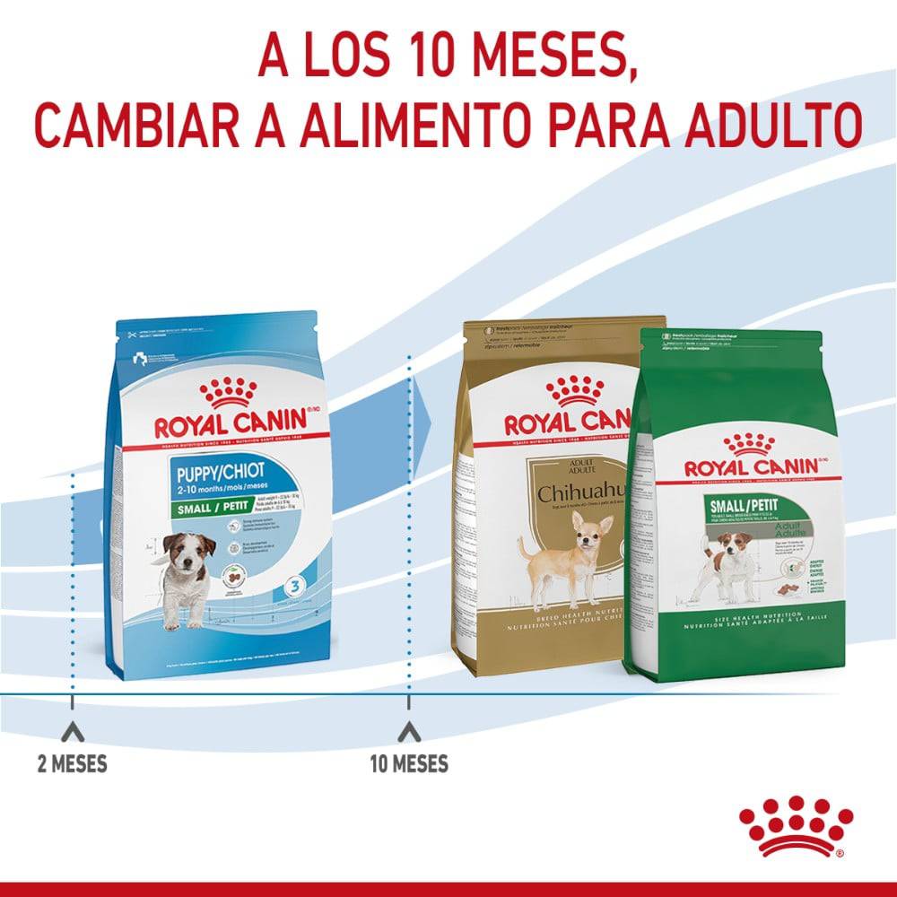 Royal Canin Alimento para Cachorro Small Puppy 1.1 Kg. - AniMALL