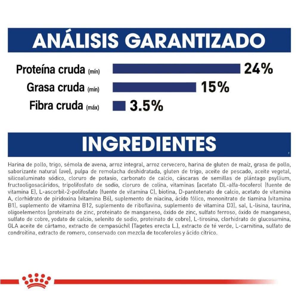 Royal Canin Maxi Large 5+ Perro Senior 13.6 kg - AniMALL