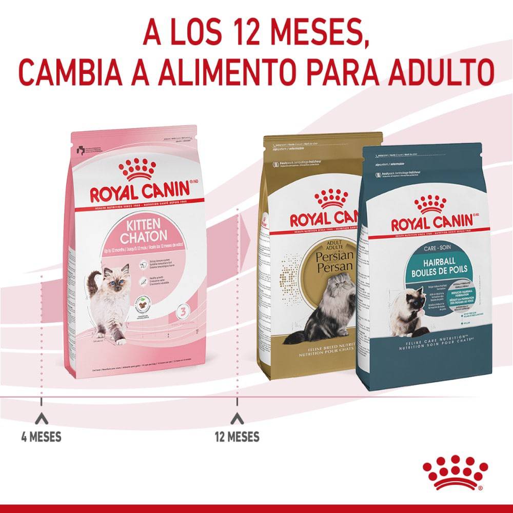Royal Canin Gato Kitten 3.1 kg - AniMALL